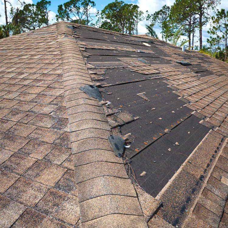 Roofing Services in Covington, LA