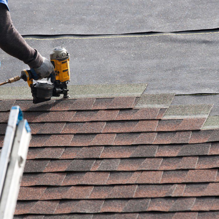 Roofing Services in Covington, LA