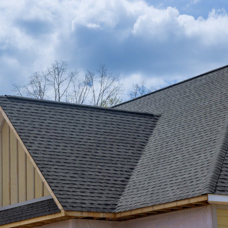 Roofing Services in Covington, LA